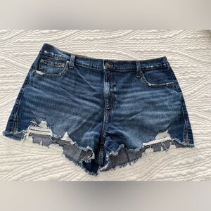 Aerie Denim Daydream Women Shorts